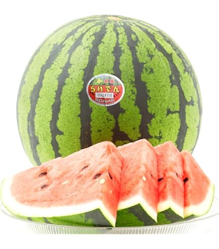 Amazon.co.jp: 北海道産 らいでんスイカ 1玉 (共撰 秀品/1玉 7kg/常温